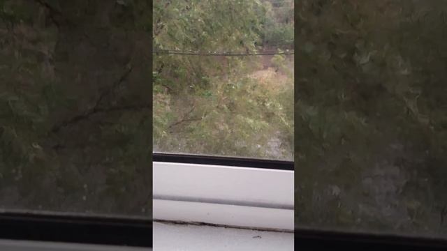 Осень стучит в окно