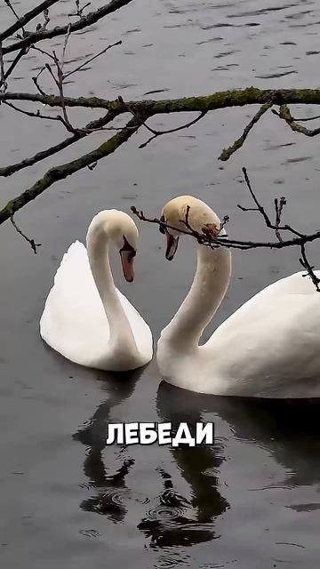 взгляд под другим углом