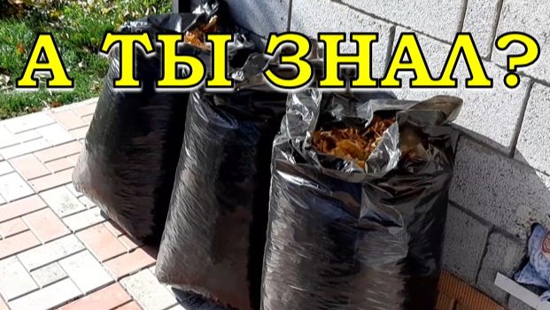 БЫСТРО и БЕСПЛАТНО делаем КОМПОСТ из листьев ОСЕНЬЮ