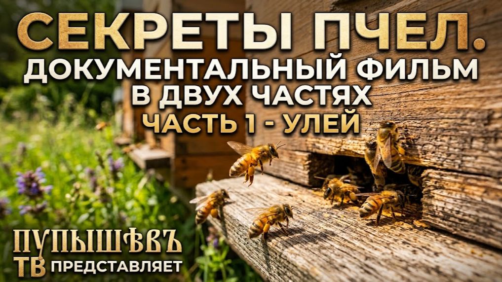 СЕКРЕТЫ ПЧЕЛ. ДОКУМЕНТАЛЬНЫЙ ФИЛЬМ В ДВУХ ЧАСТЯХ. ЧАСТЬ 1 - УЛЕЙ 🔥🔥🔥