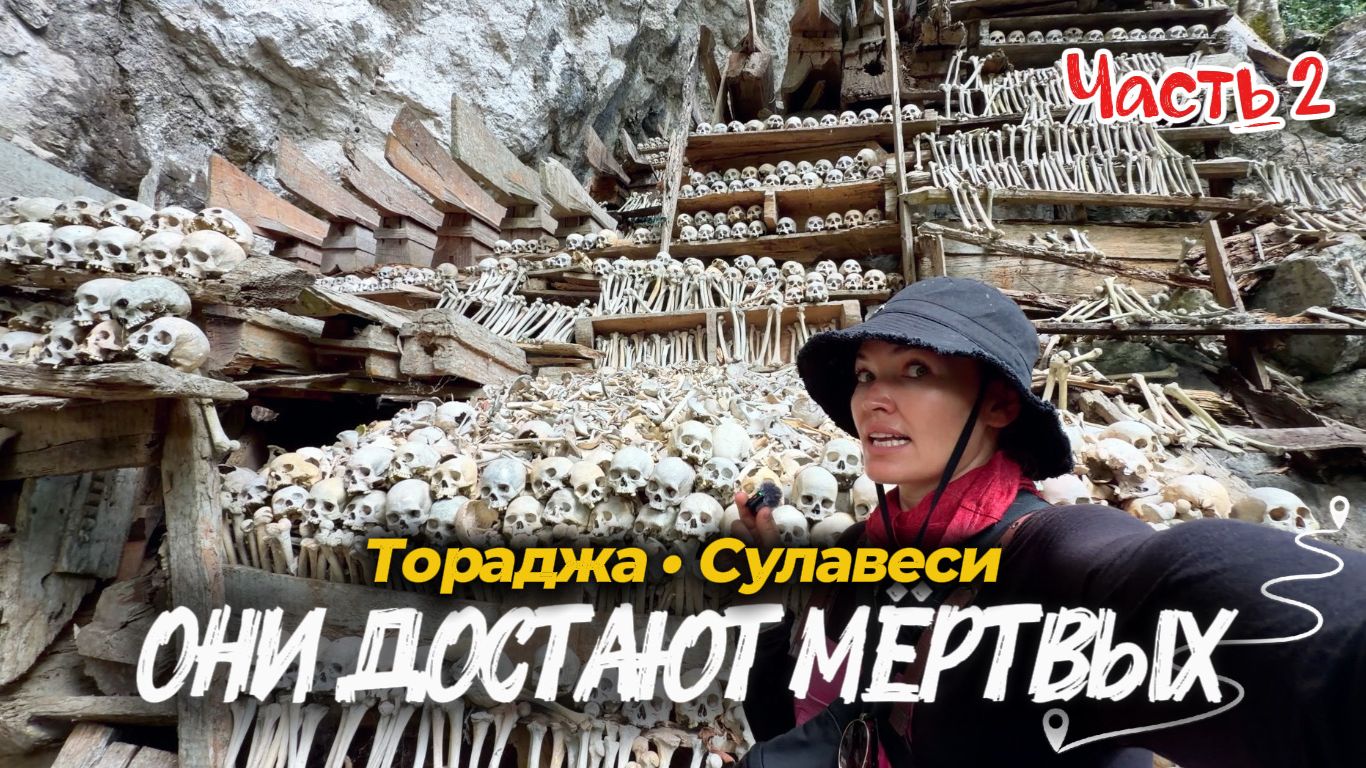 За пределами Бали 🌊 — Живая Индонезия: острова, которые не показывают в открытках