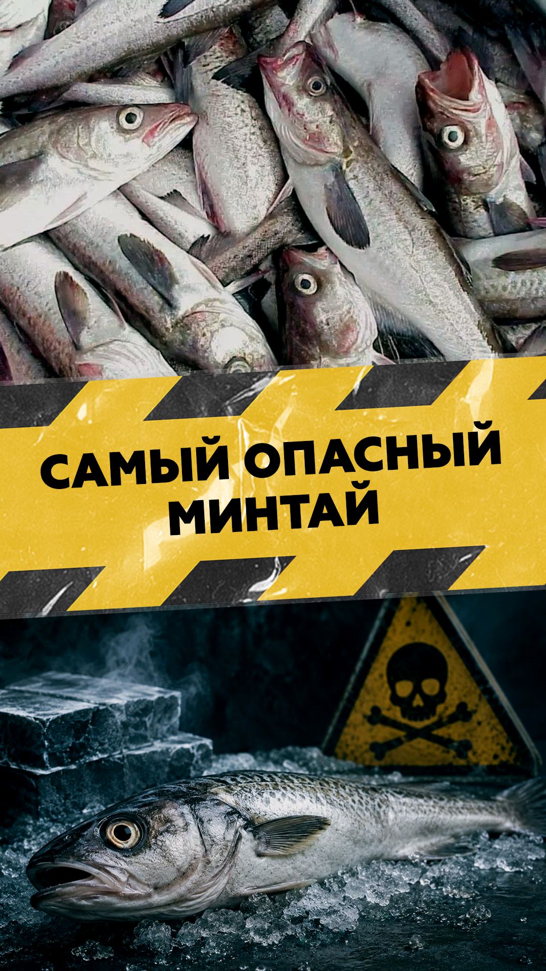 Какой минтай лучше не класть в корзину?