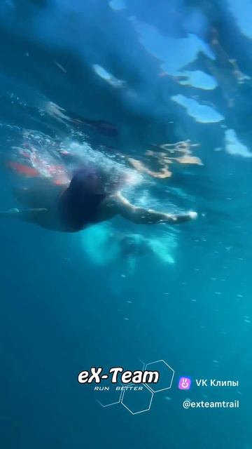 05.09.26. г. Ялта. Ролик от ex-Team. Мероприятие: «Palmira Swim Race 2026»