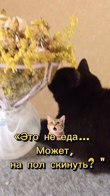 я лучше полежу