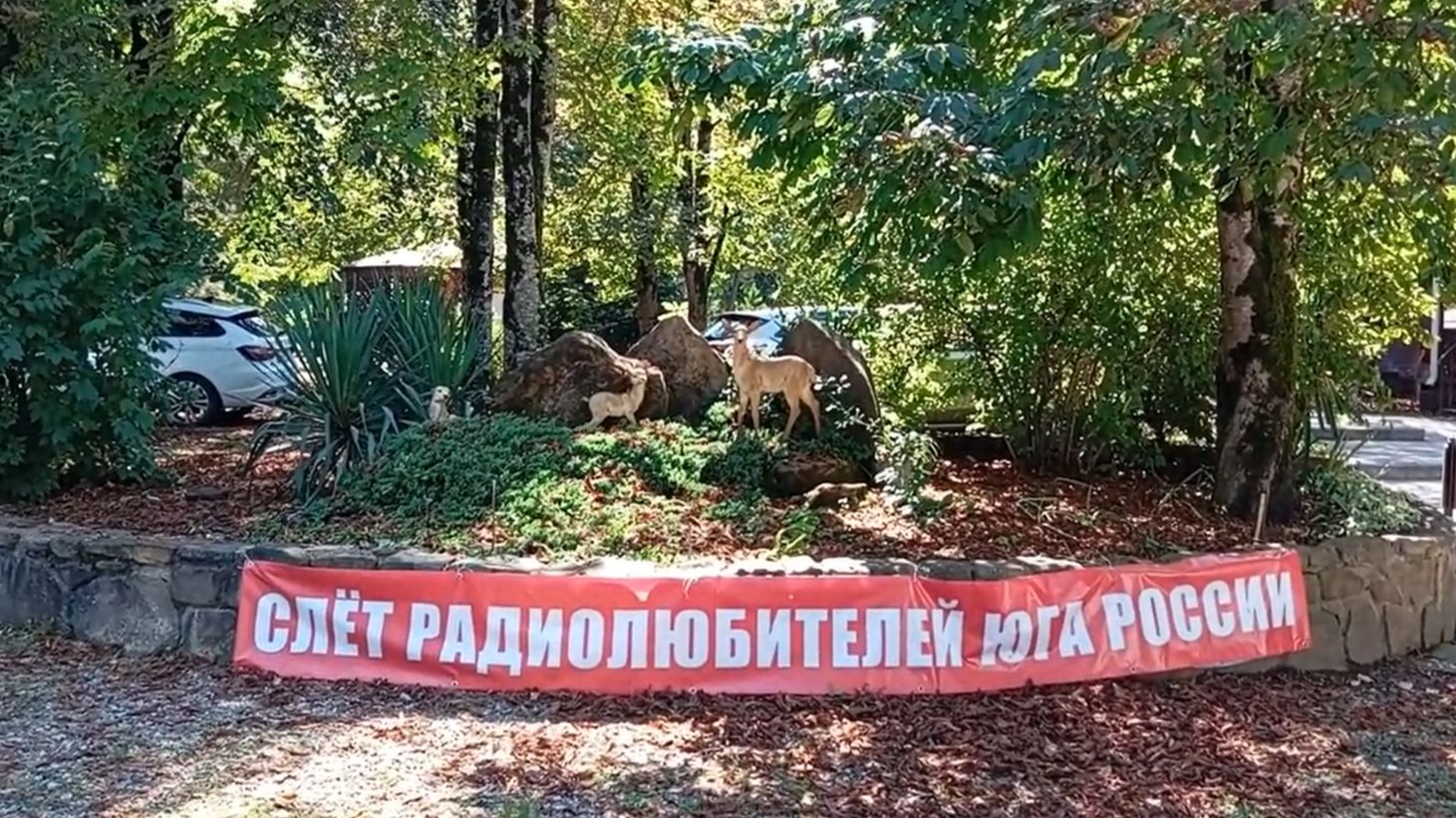 Слет радиолюбителей 2026, Адыгея.