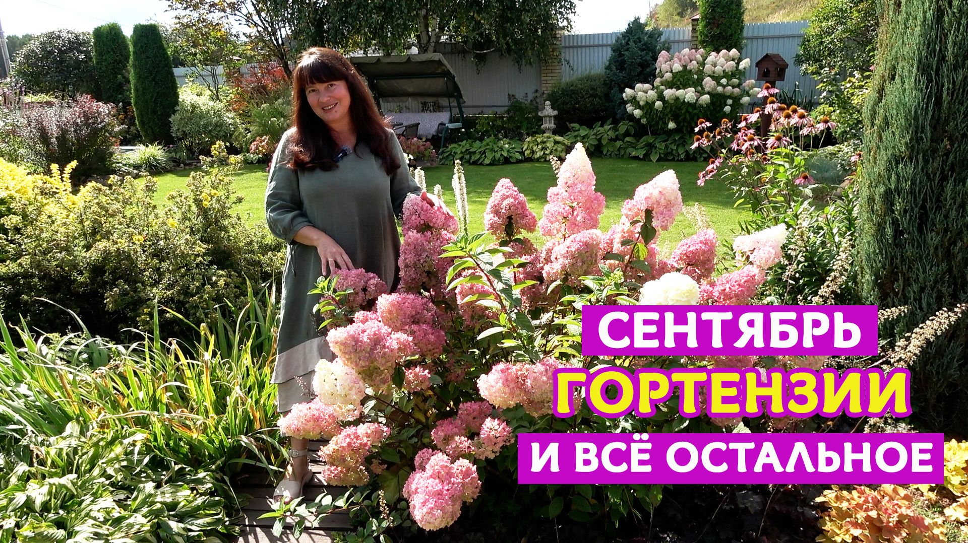 Лучше ГОРТЕНЗИЙ могут быть ТОЛЬКО ГОРТЕНЗИИ! Результаты конкурса с шикарными фото и обзор сада.
