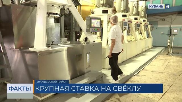 Кубанские заводы за летний сезон выработали около 500 тыс. тонн сахара