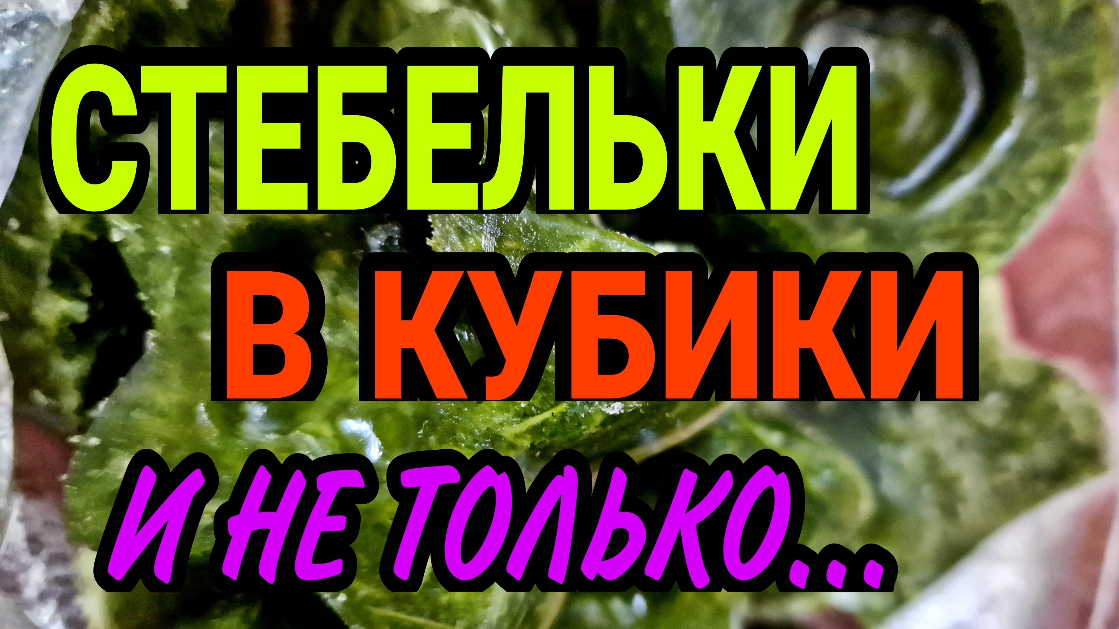 Что делать со стеблями укропа.