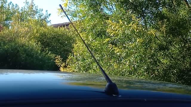 Аудио и видео система в автомобиле