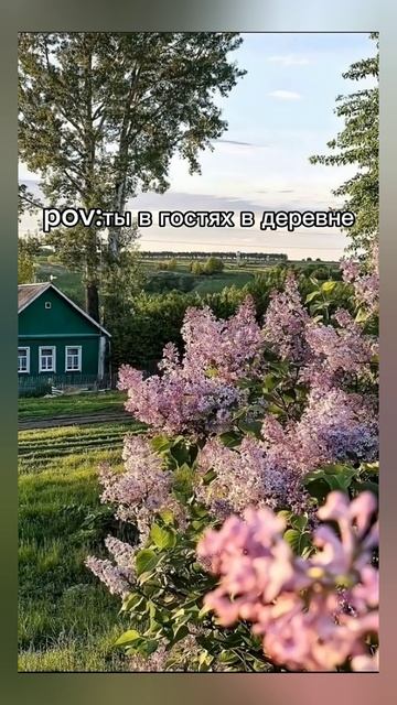 Детство