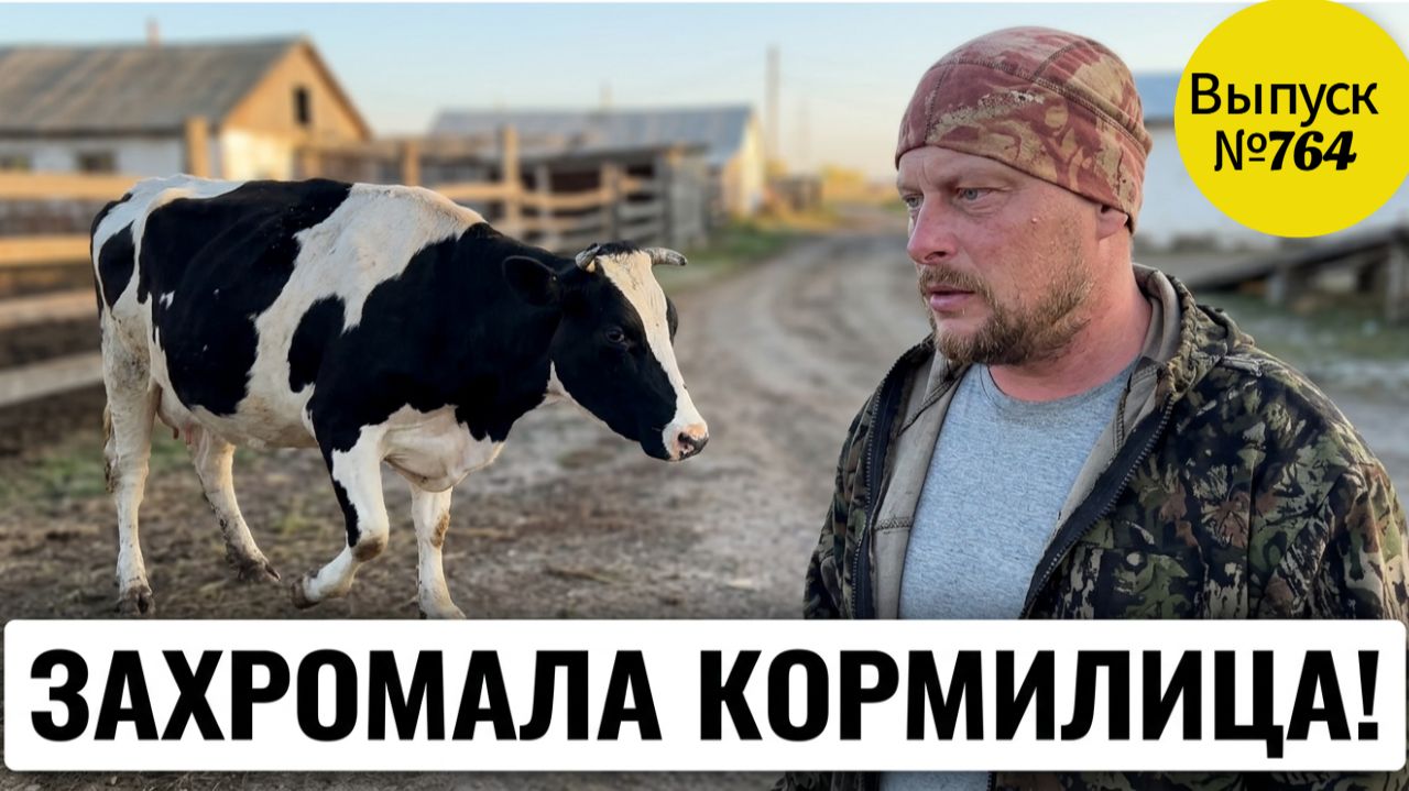 Проблемы в Сибирской деревне. Заболела корова, наша кормилица.
