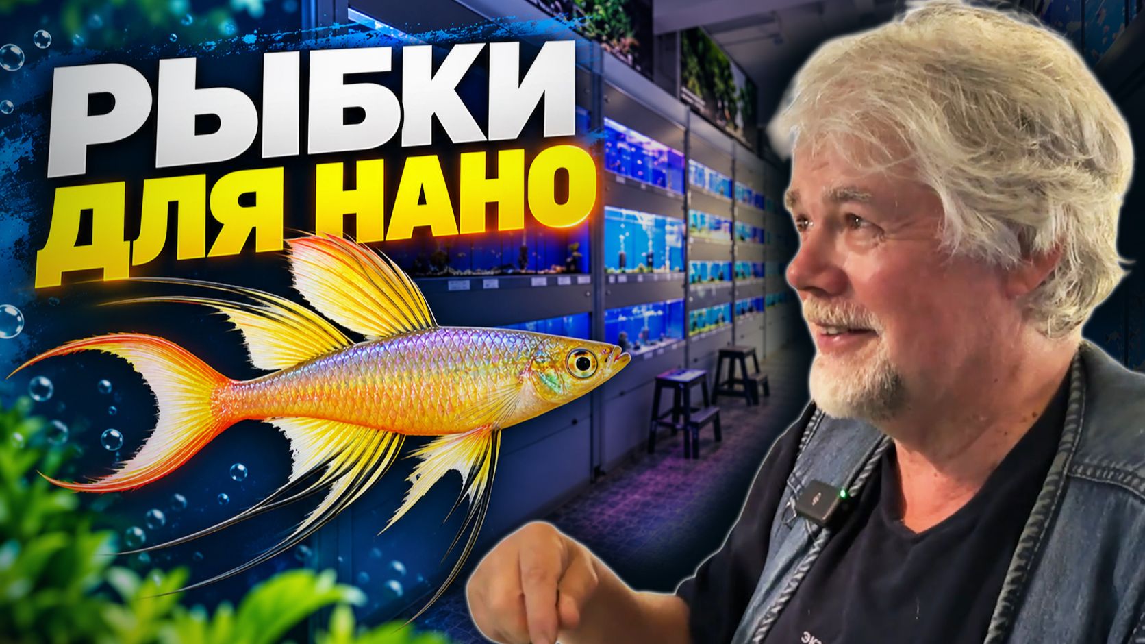 Лучшие рыбки для нано аквариумов | Аквариумные истории из ЭКЗОМЕНЮ №189