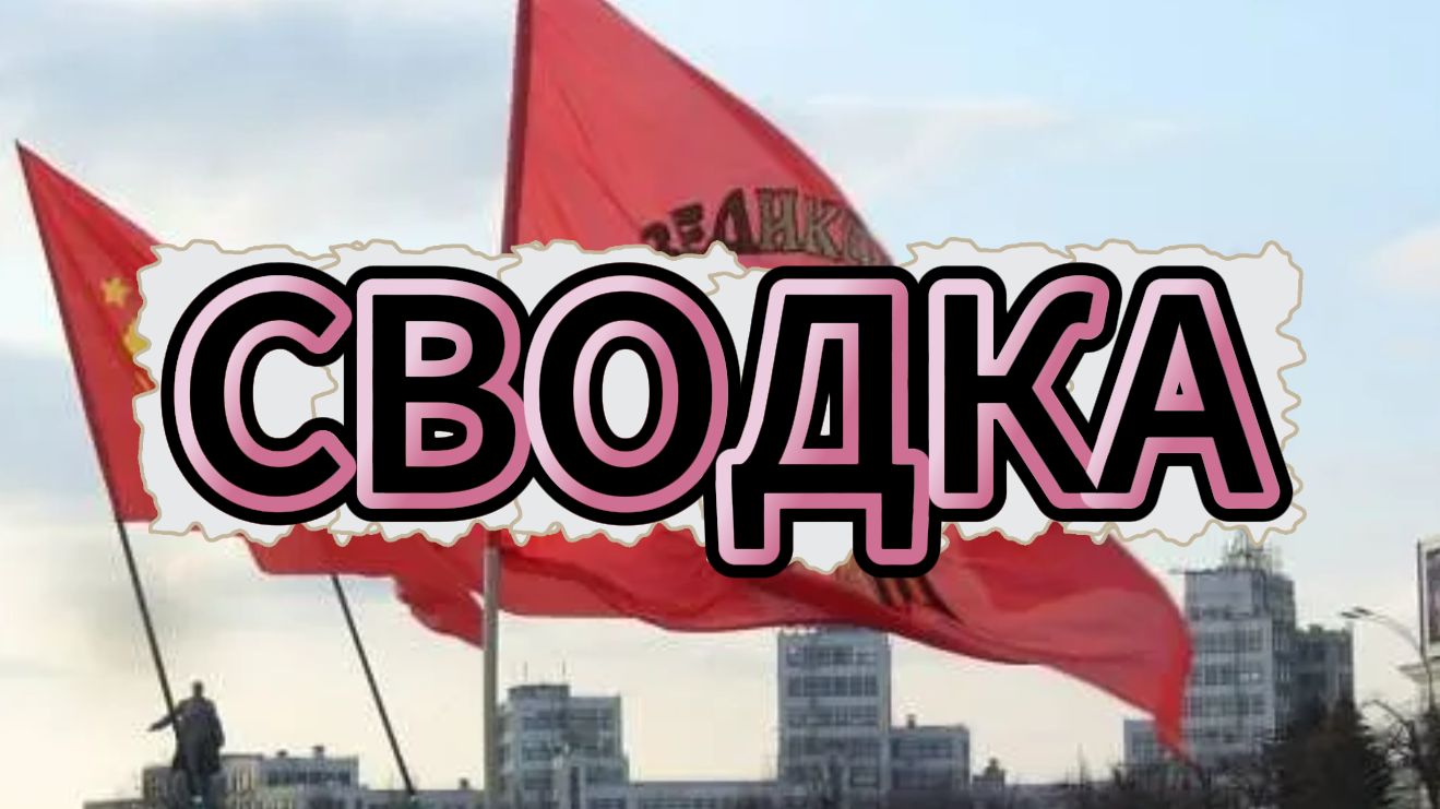 Сводка
