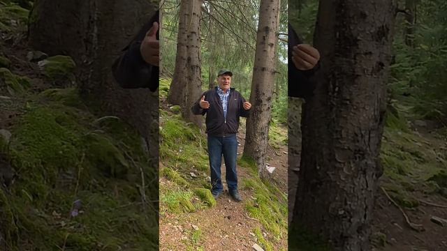 🔴 ASTA ESTE ISTORIA ADEVÂRATÂ....