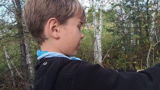 выживание в лесу