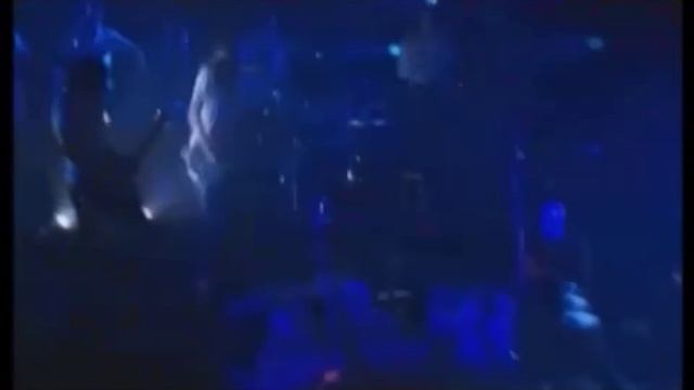 Vidssave.com I Feel Love - Venus Hum & Blue Man Group