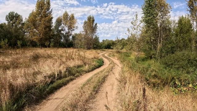Белозерки 05.09.2026