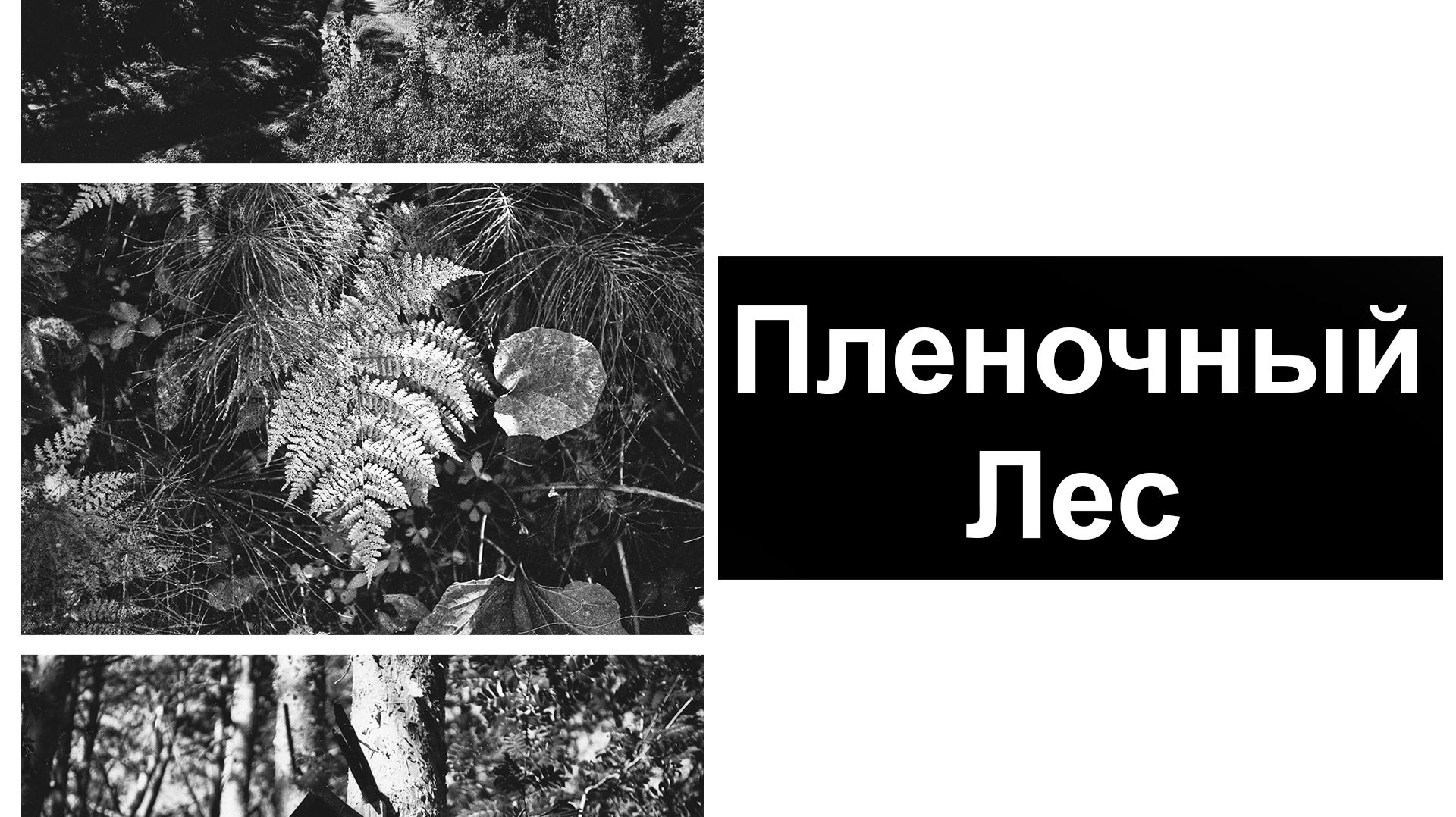 Фотоаппараты