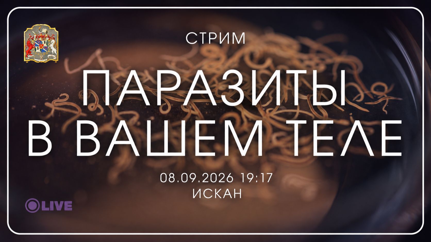 Паразиты в нашем теле: кто живёт за наш счёт?