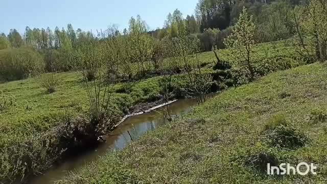 Архив , видео прошлых лет.