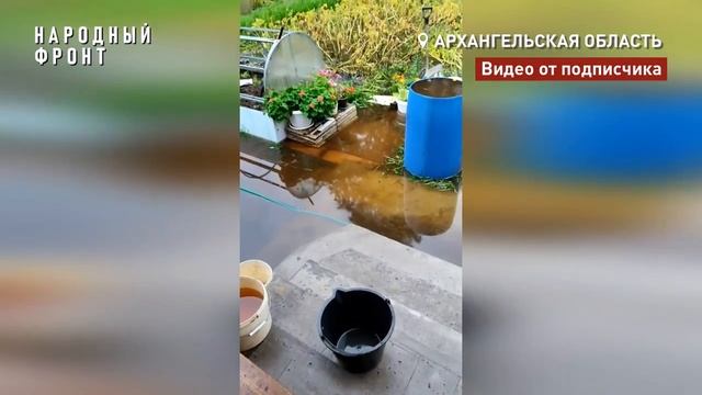 Энтузиастов