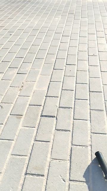 влог