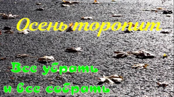 Мой огород