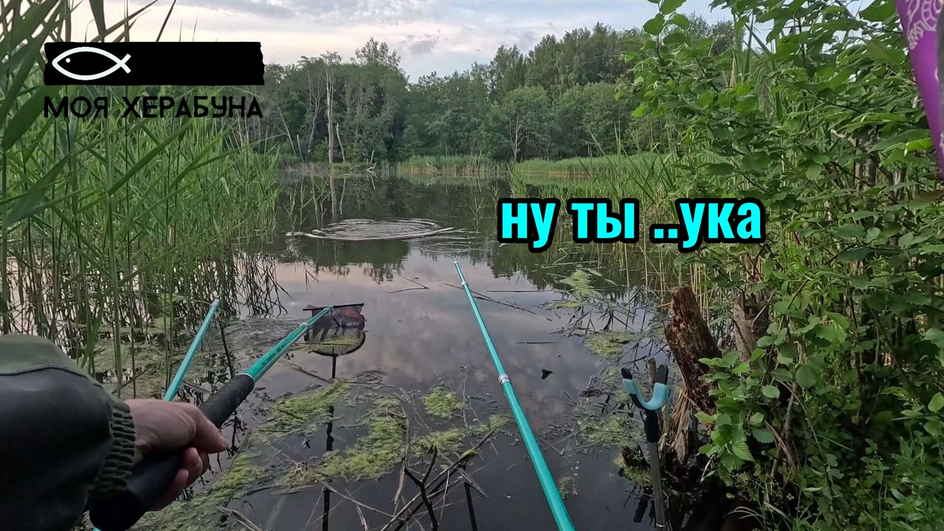 Нецелевая рыба