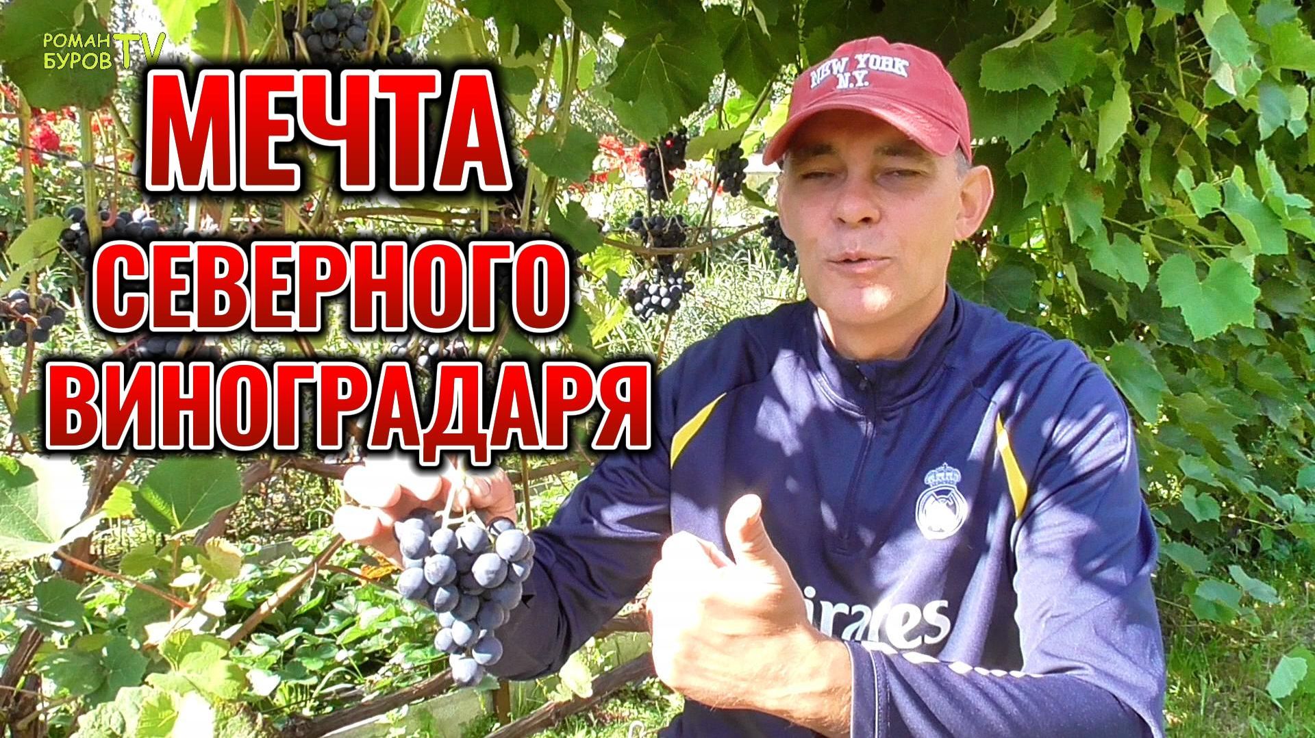 ВИНОГРАДАРСТВО
