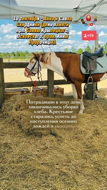 Народный календарь