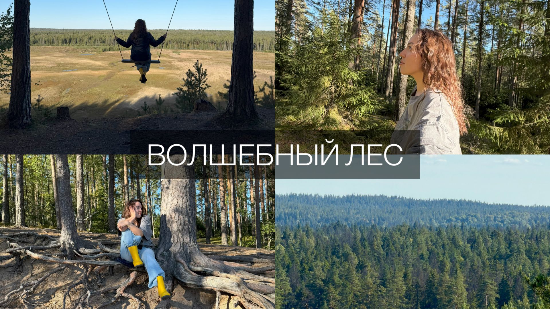 Распаковываем гору еды и идём гулять в сосновый лес 🌲
