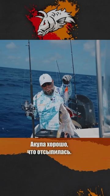 🦈  ЛЮБИМЫЙ ТОСТ АКУЛ:  «ЗА ТЕХ, КТО В МОРЕ!» 🎣