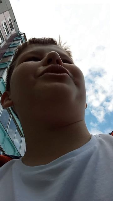 секрет гуся шуги