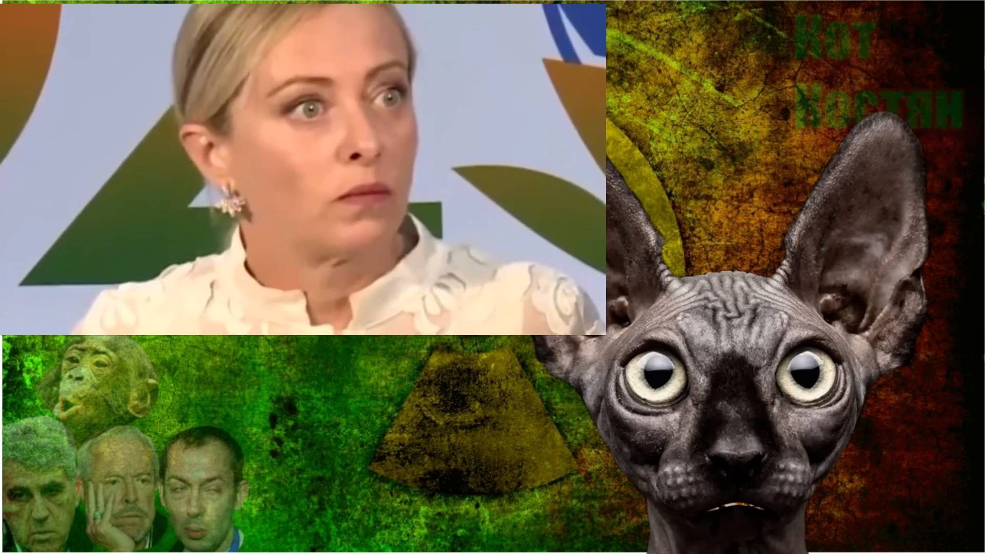 Хорошо, допустим... / Кот Костян (You Tube - 25)