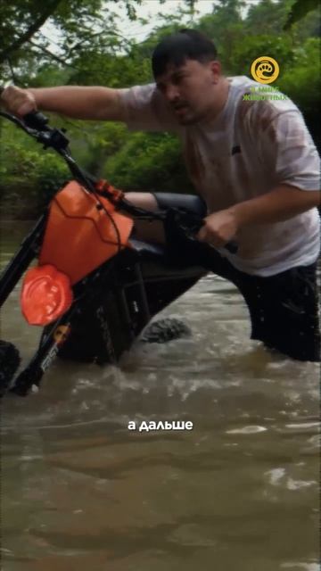 Такого в природе почти не встретишь