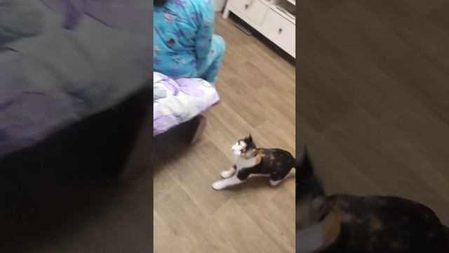 Я БЫЛ у Кристины в гостях