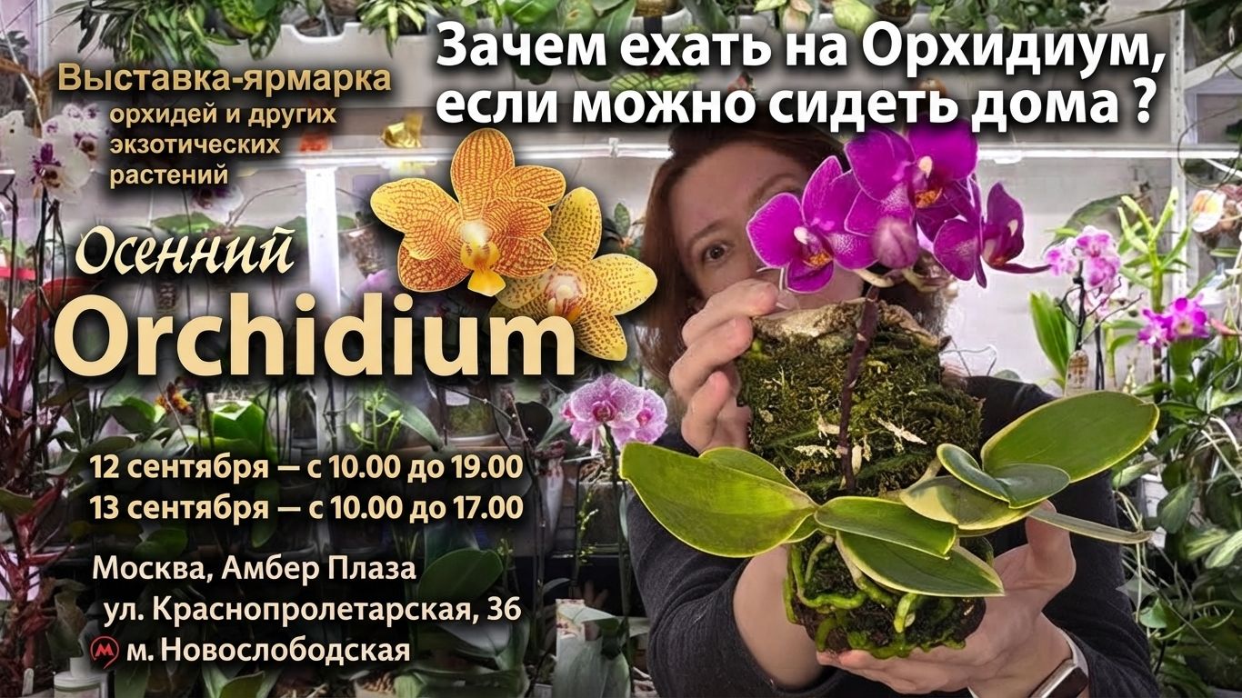 Осенний ОРХИДИУМ: Как это БУДЕТ? Стоит ли ехать? Раскрываем СЕКРЕТЫ Вместе!