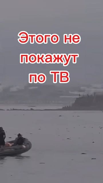 Этого не покажут по телевидению. Тысячи мигрантов в Европе.