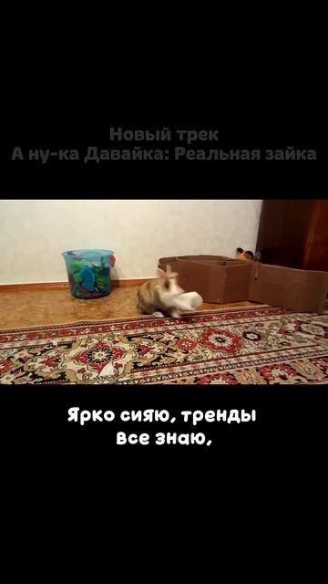 А ну-ка Давай-ка: Реальная зайка  #анукадавайка