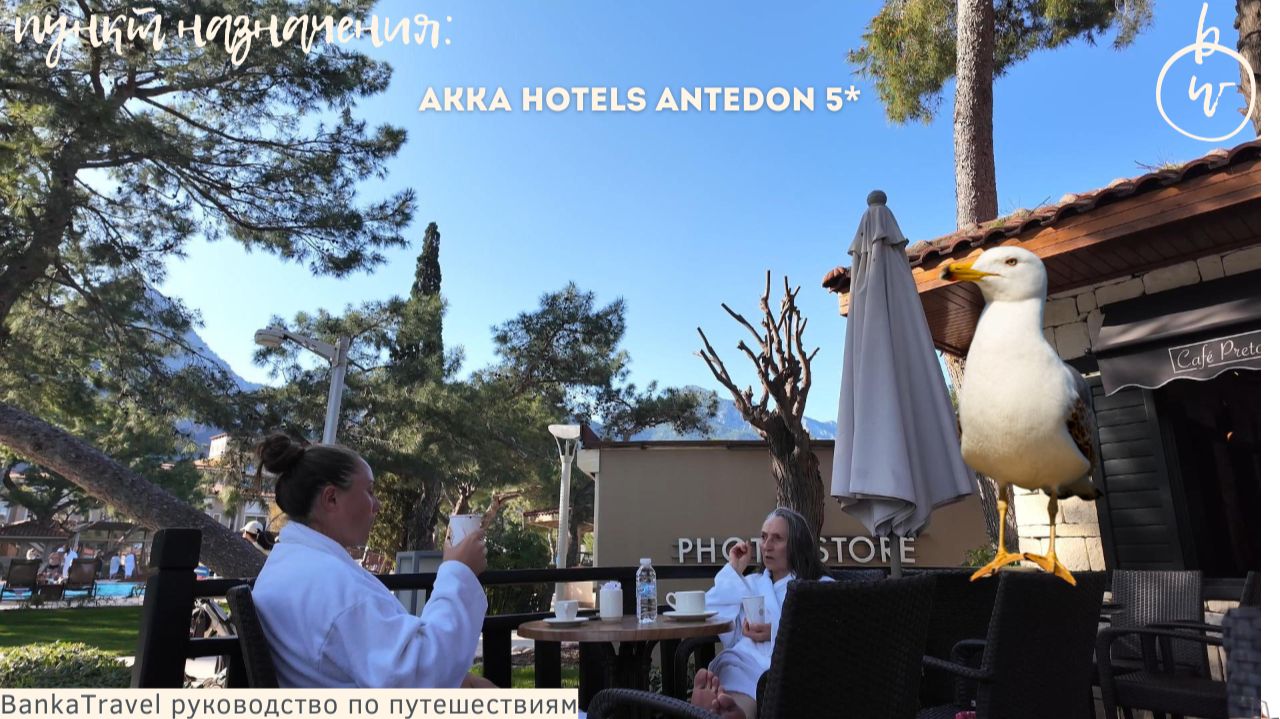 AKKA Hotels Antedon 5 — полный обзор отеля в Бельдиби | Пляж, территория, номера