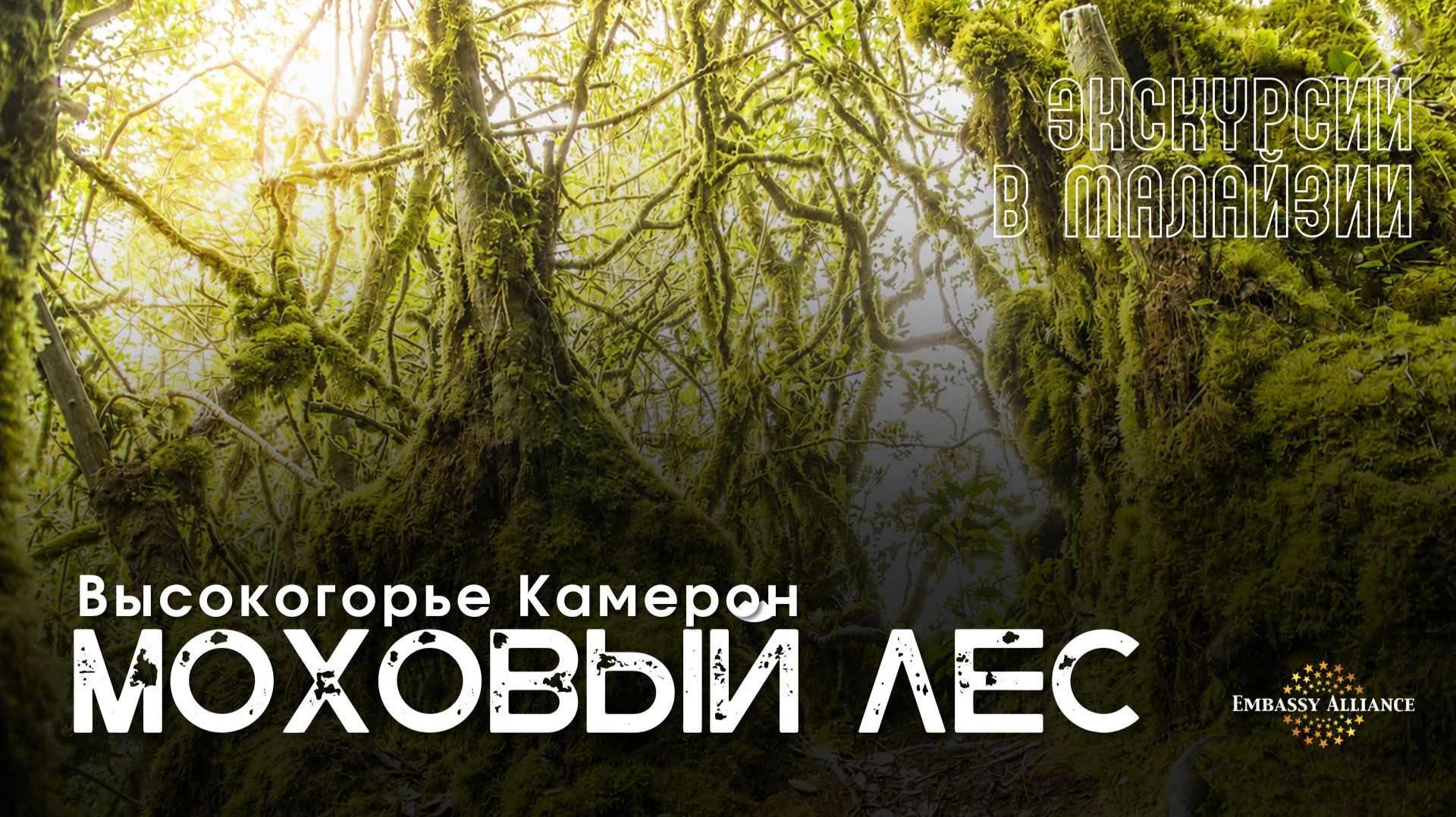 ЭКСКУРСИИ В МАЛАЙЗИИ