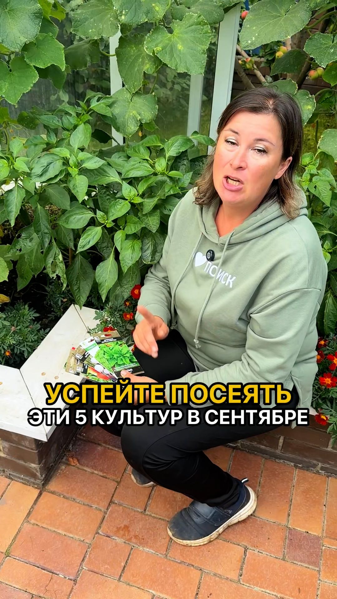 Обзор сортов редиса