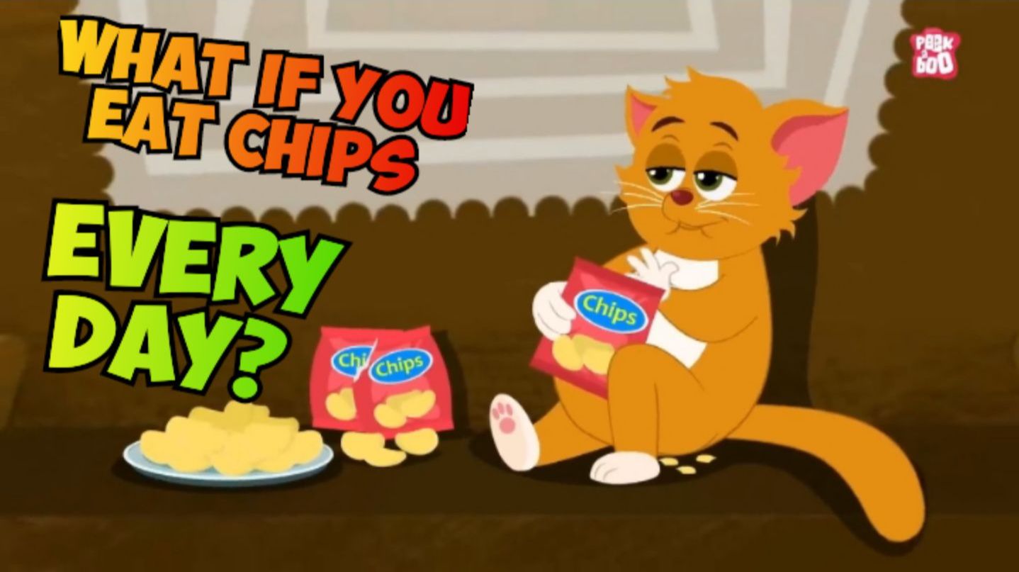 The Dr Binocs Show