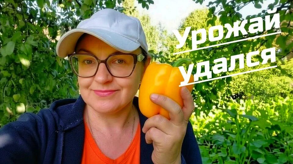 СКОЛЬКО ВСЕГО ВЫРОСЛО 🌶️🫑 Даже не думала, что будет так много 🥰