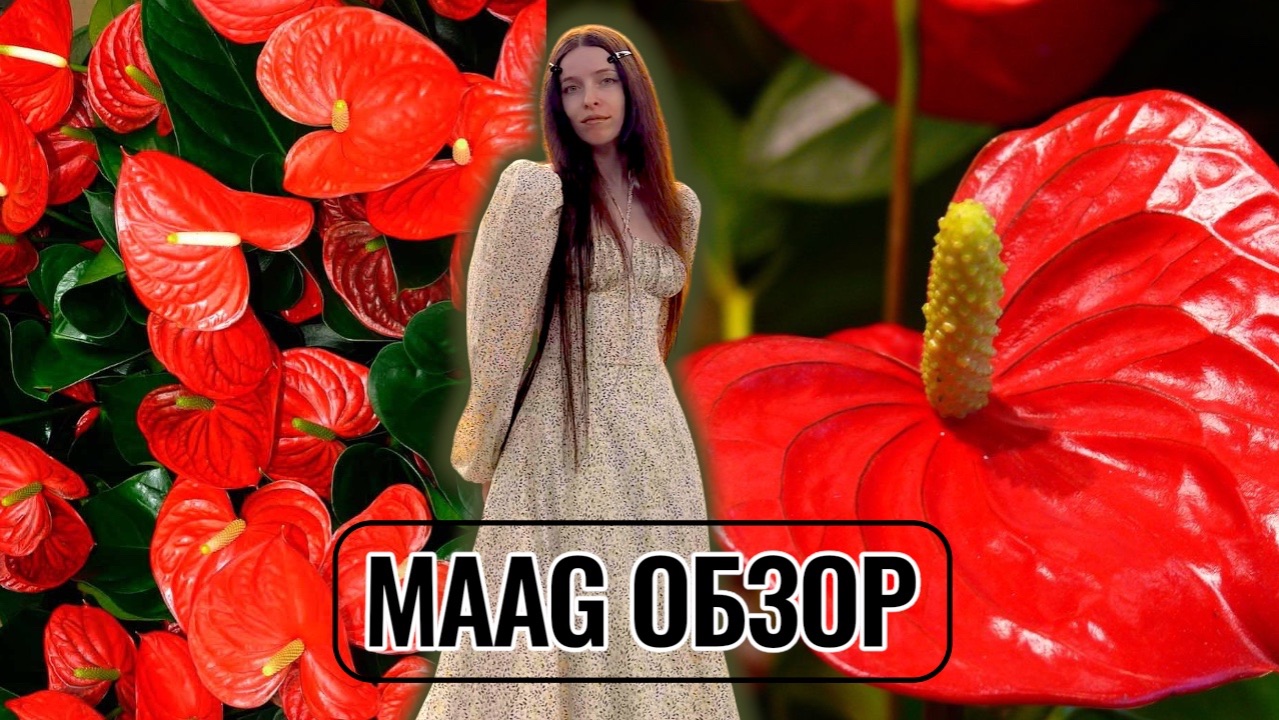 MAAG | ОБЗОР ОСЕННЕЙ КОЛЛЕКЦИИ