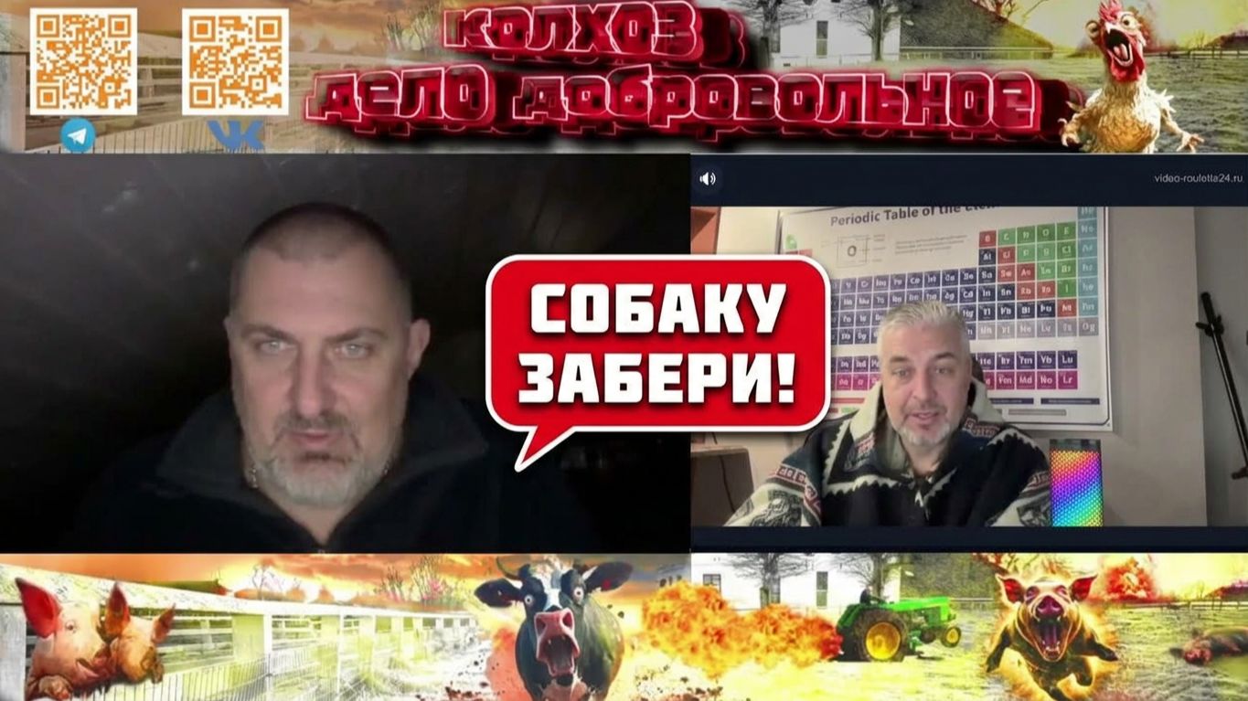 Пошутил в чат-рулетке —  вдруг услышал звук чемодана...И собаку с собой забери.