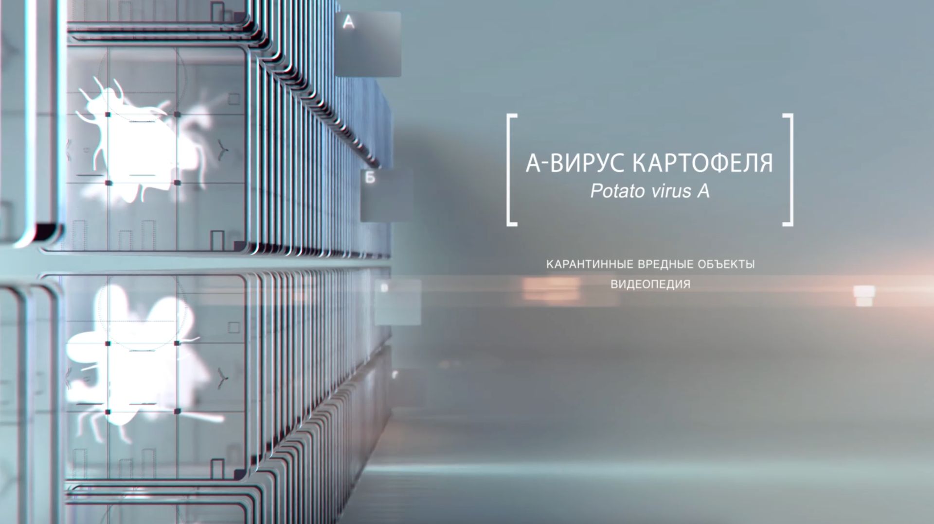 Видеопедия «Карантинные вредные объекты»