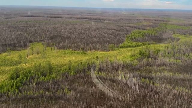 Олекминск-Магадан на вертолете Robinson R44. Летим по трассе Колыма. Пилот Мельников