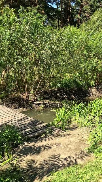 Короткие версии видео