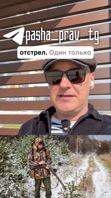 За десятку за ночь по коридору гуляет медведь #медведь #охота #ружье #сочи #gunpost